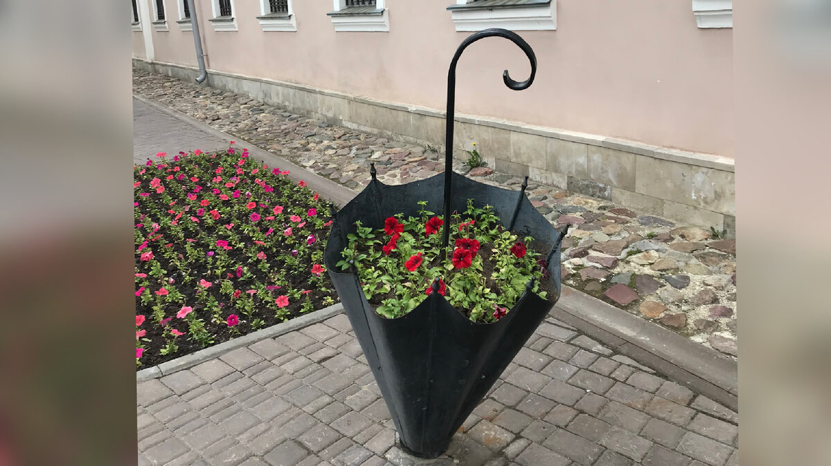 Петуния в озеленении города