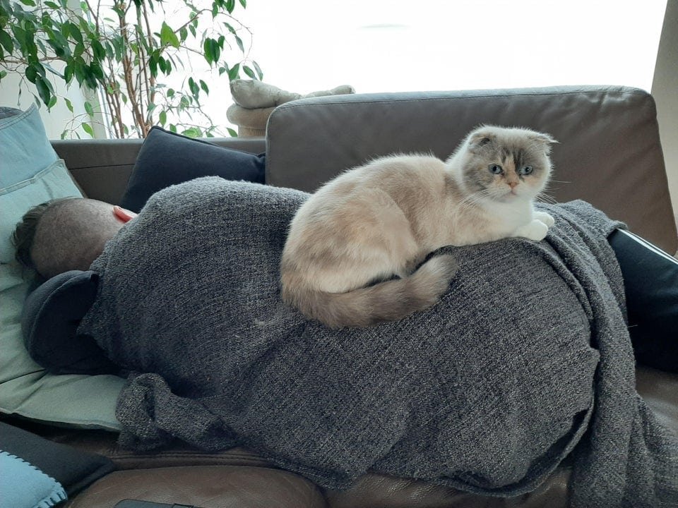    «Мне не нужна кровать, когда есть человек».