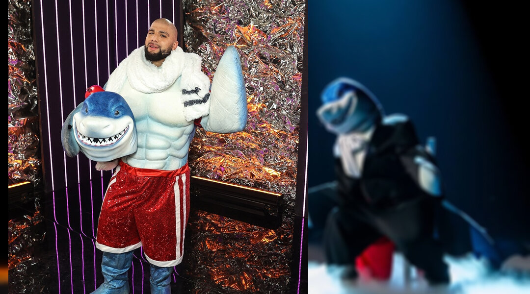 кто акула в шоу