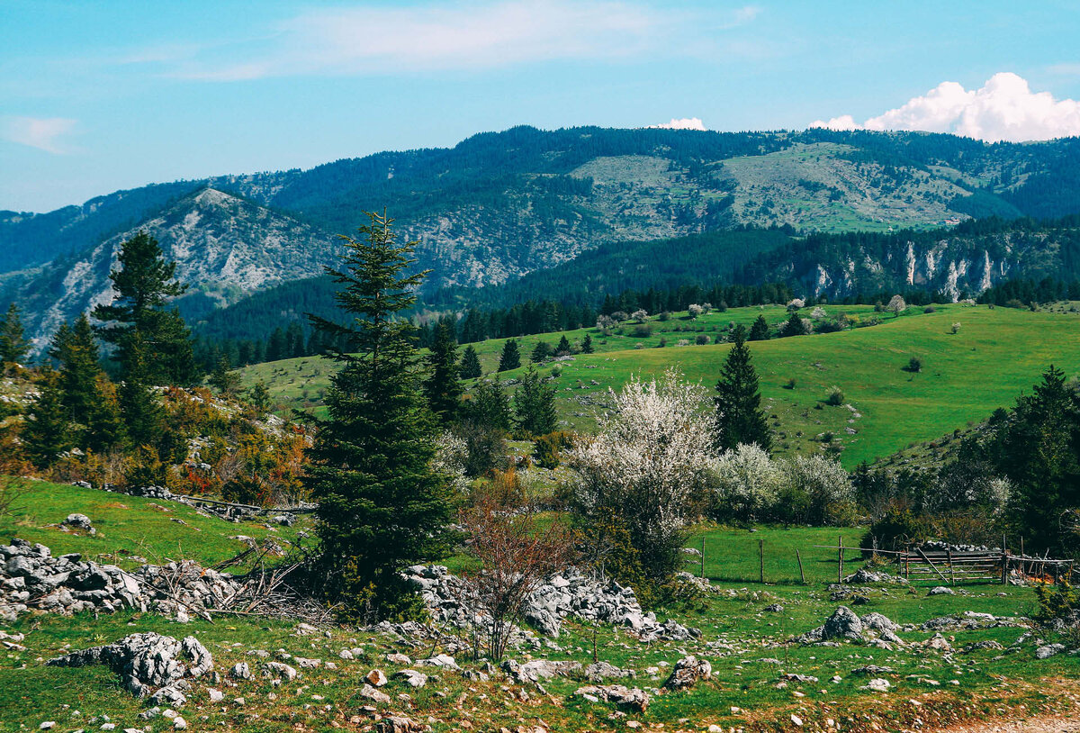 Болгария. Горы. Фото с Янднекса.