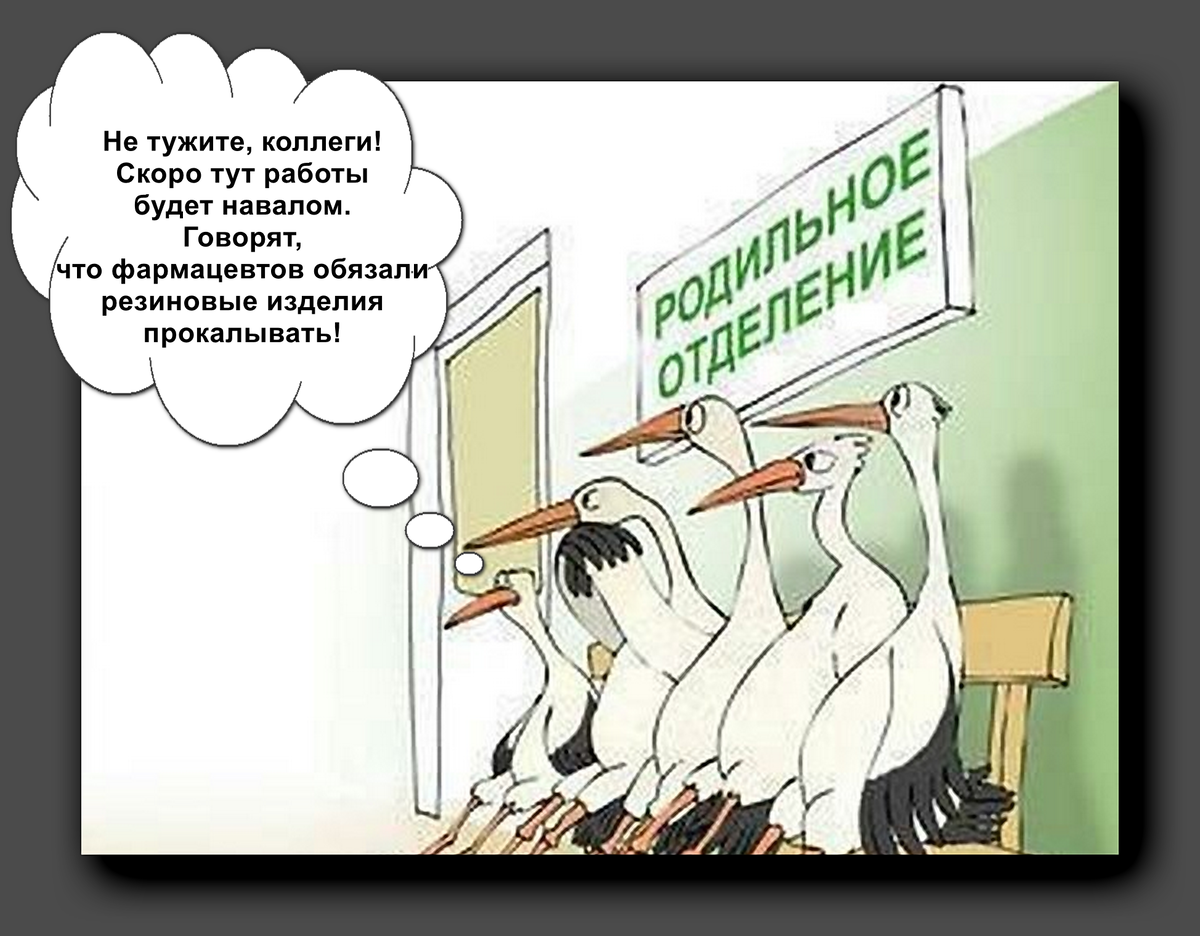 Печальная новость для «особо одаренных» Неиззюзино: в России не будут  отмечать день многодетной семьи | Головоломки для любознательных | Дзен