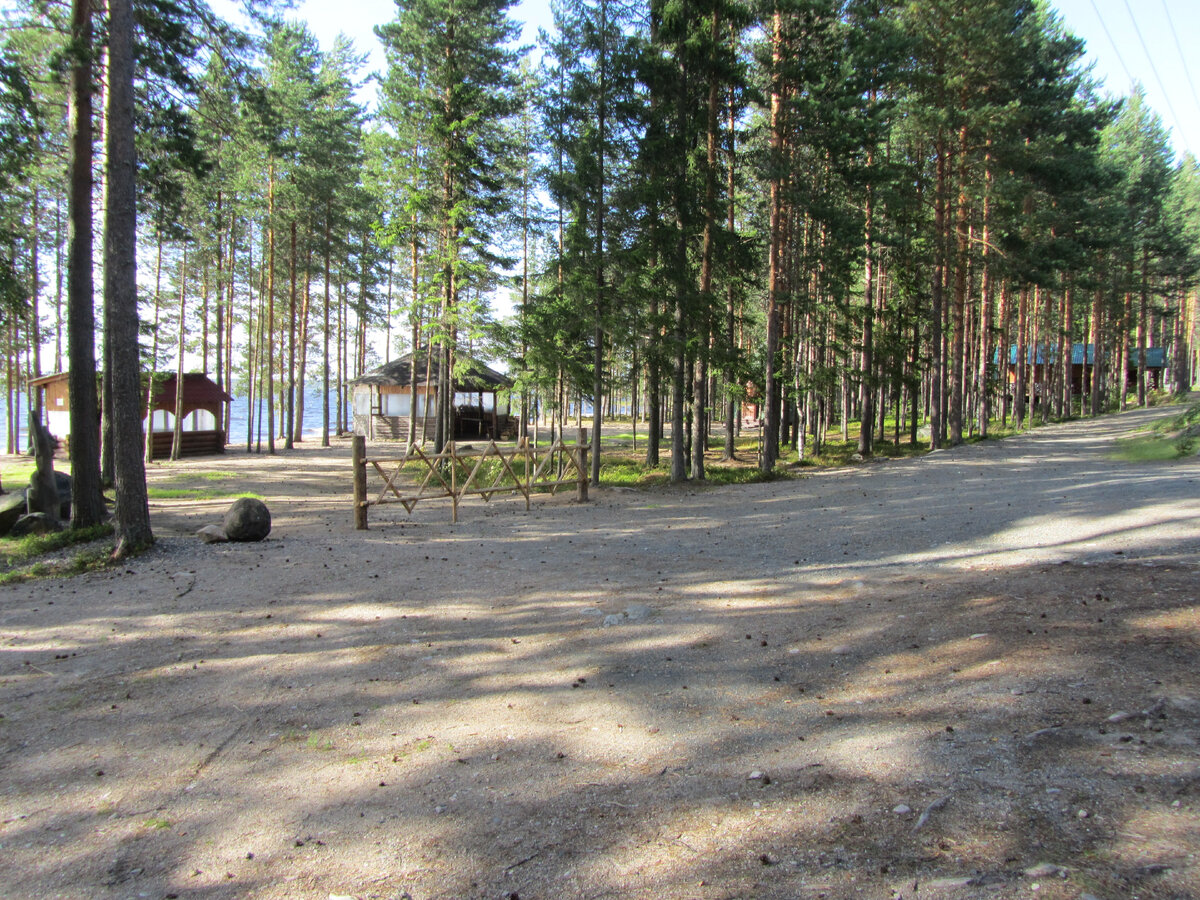 Зоокомплекс "Три медведя" на берегу Сямозера в Карелии