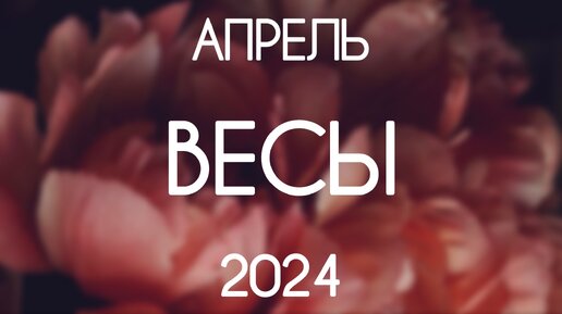 Весы ♎️ События Апреля 2024. Таро расклад