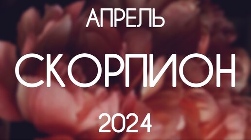 Скорпион ♏️ Таро-прогноз на Апрель 2024