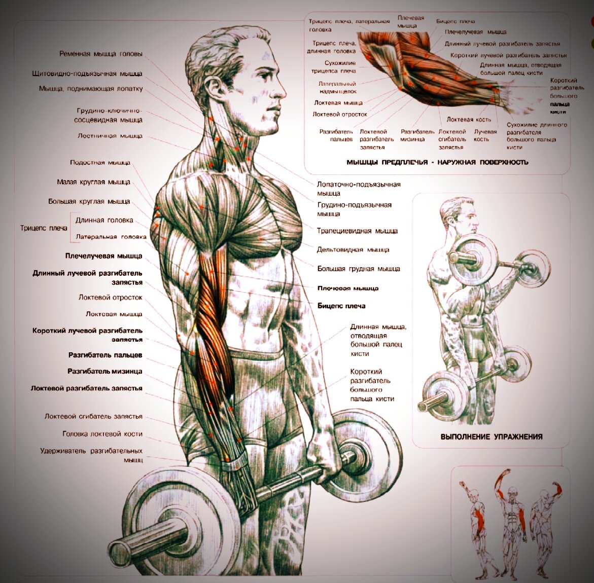 Взято из книги Фредерик Делавье 