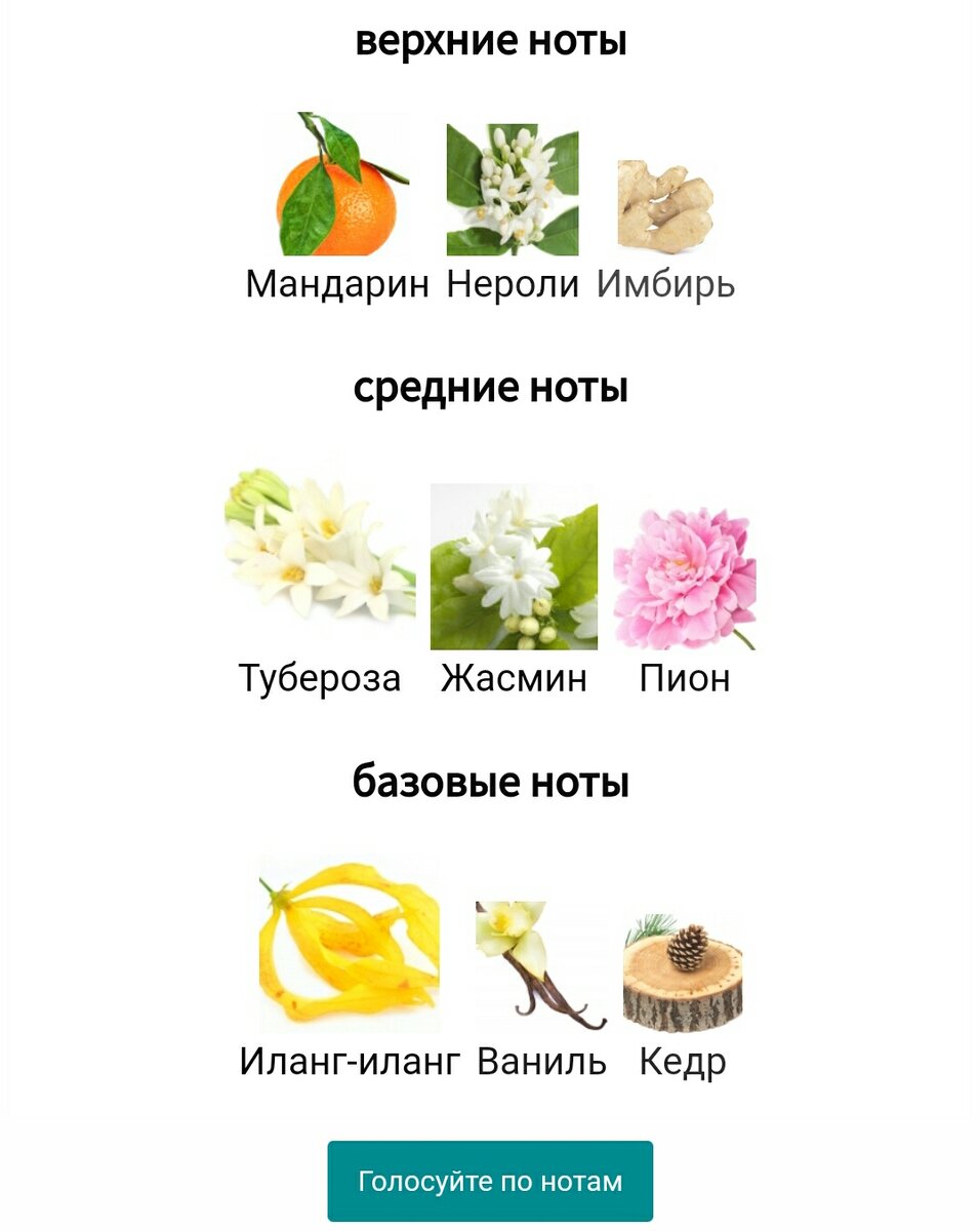 Пирамида аромата Miss Giordani Floral