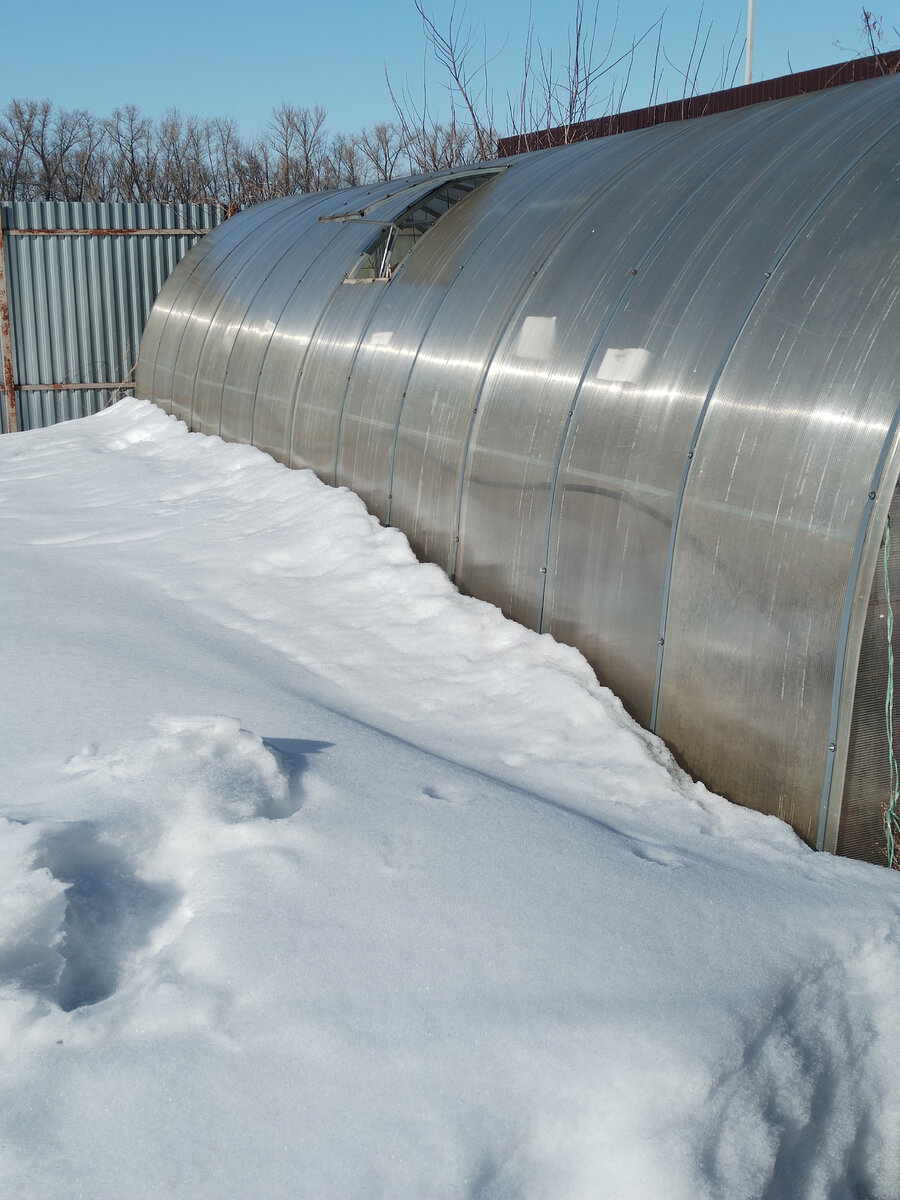 Окно  открыто 16.03.2024