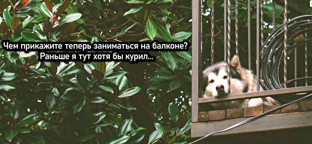 цитаты если тебя бросил друг. картинки когда все безразлично. анекдот про бросил пить.