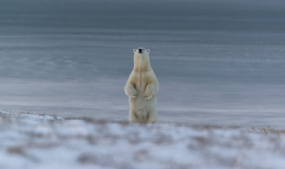 Фото: Максим Деминов / GeoPhoto 
