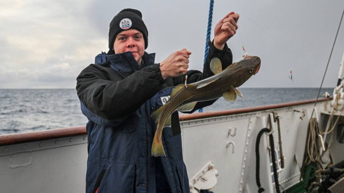 Баренцево море запрет великобритании ловли рыбы