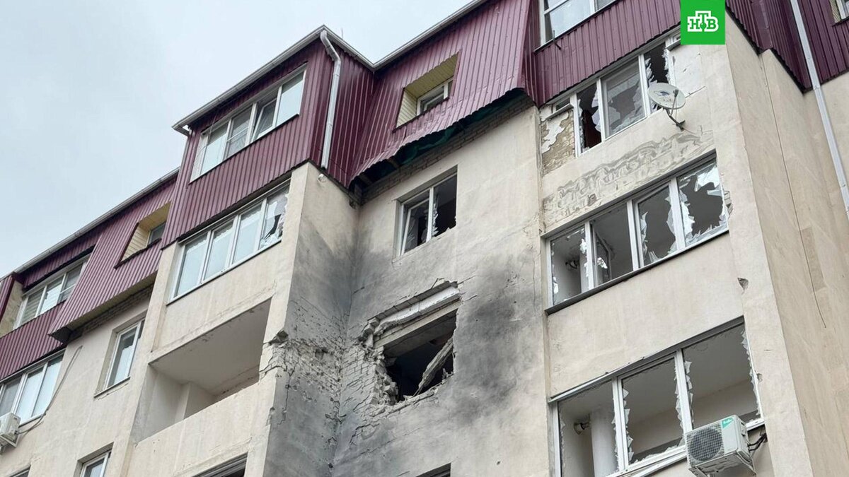    Фото: vvgladkov / t.me