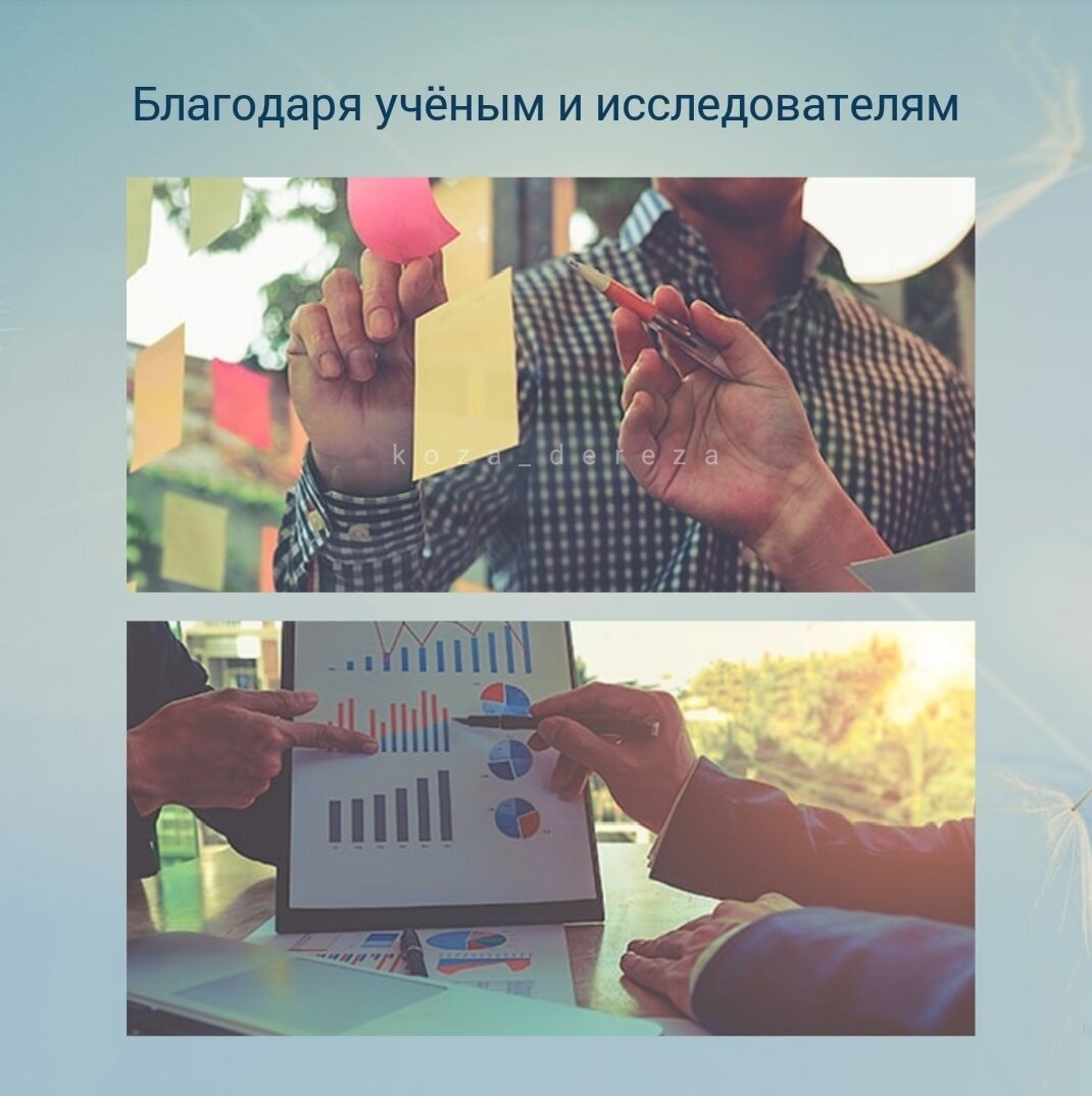 Фото создано автором статьи специально для данной публикации 