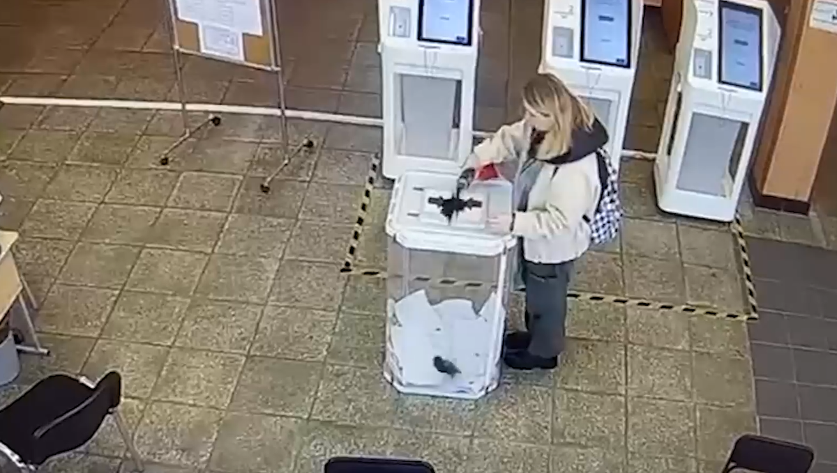 Фотография в интернет в свободном доступе.