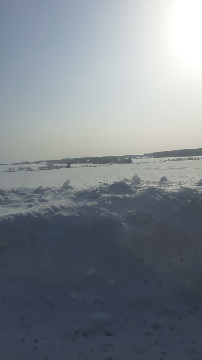 Вид из окна машины