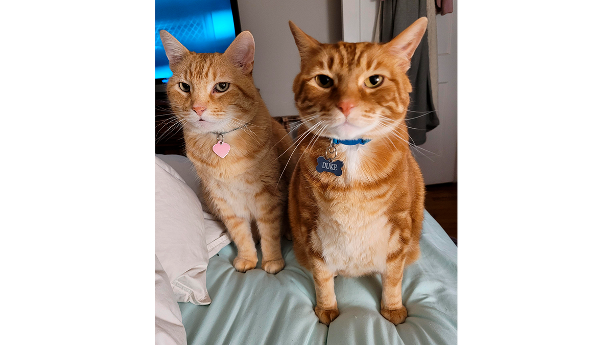    Когда с любимым договорились погулять, но посмотрели на прогноз погоды и поняли, что никуда не пойдете.