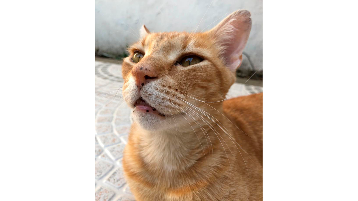    Когда тупил весь январь и не заметил, как месяц закончился.