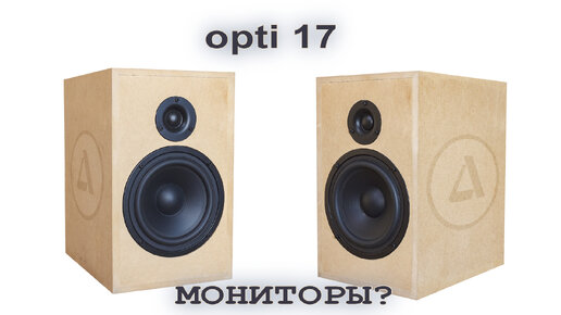 ОПТИ 17 - могут ли считаться мониторами?