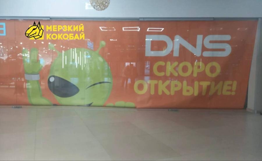    Фото: Мерзкий Кокобай / Telegram