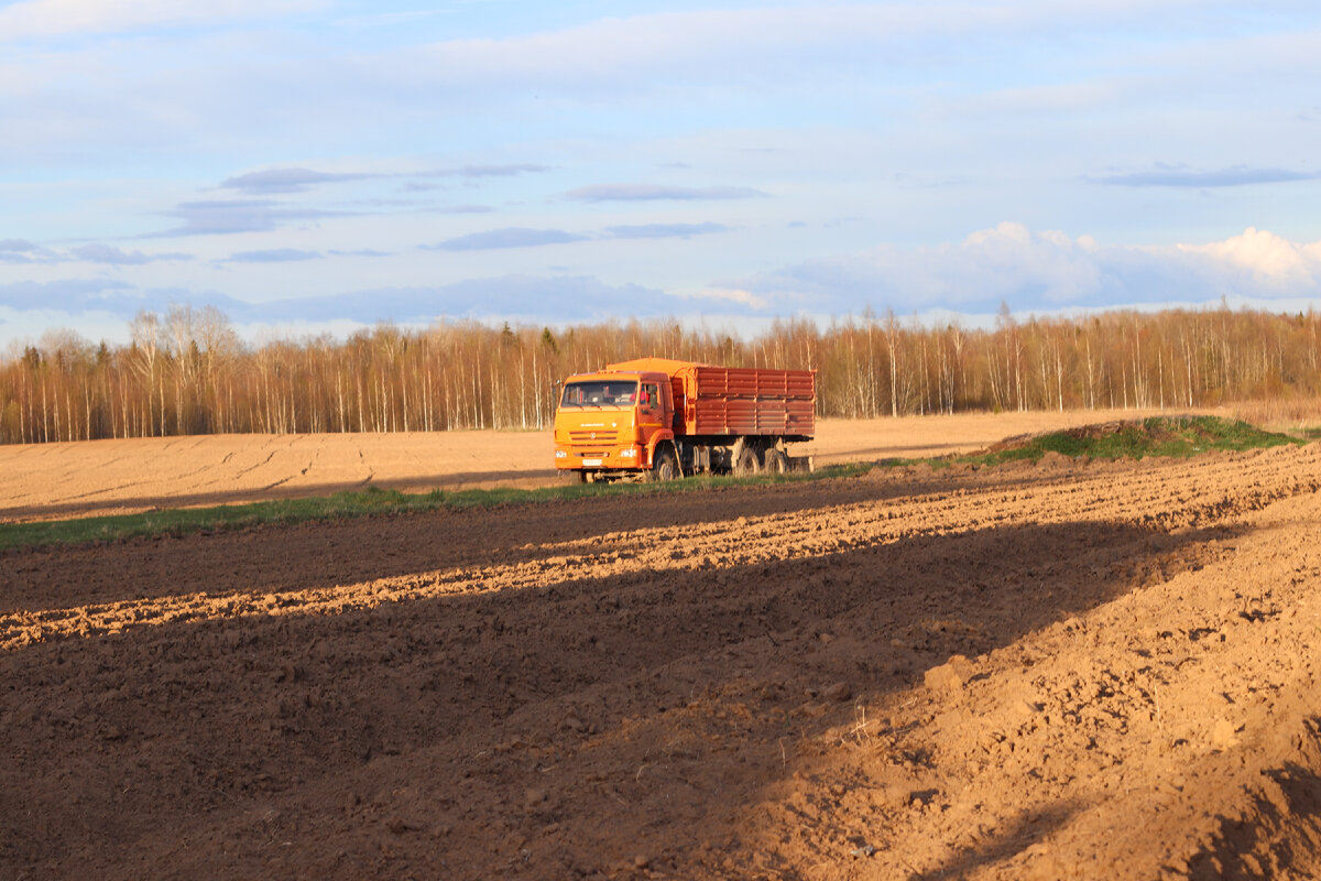 Аренда земли. Псковская область