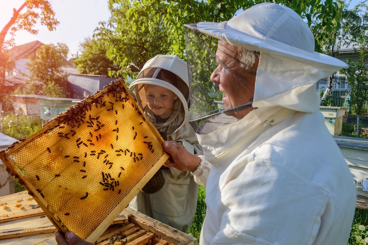    Открыть совместное КФХ могут родственники из трех семей