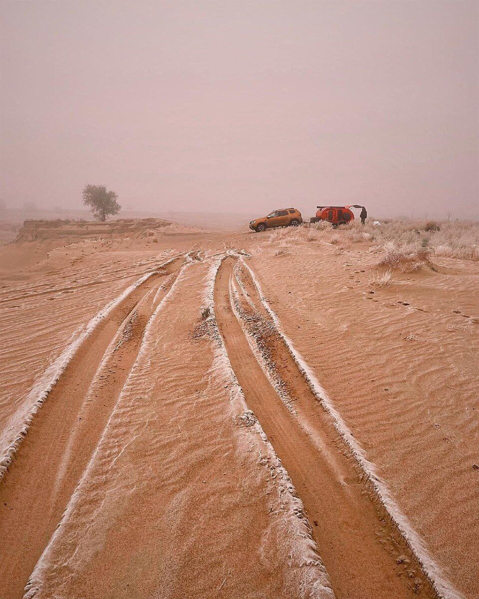 Фото Анны Смолиной.