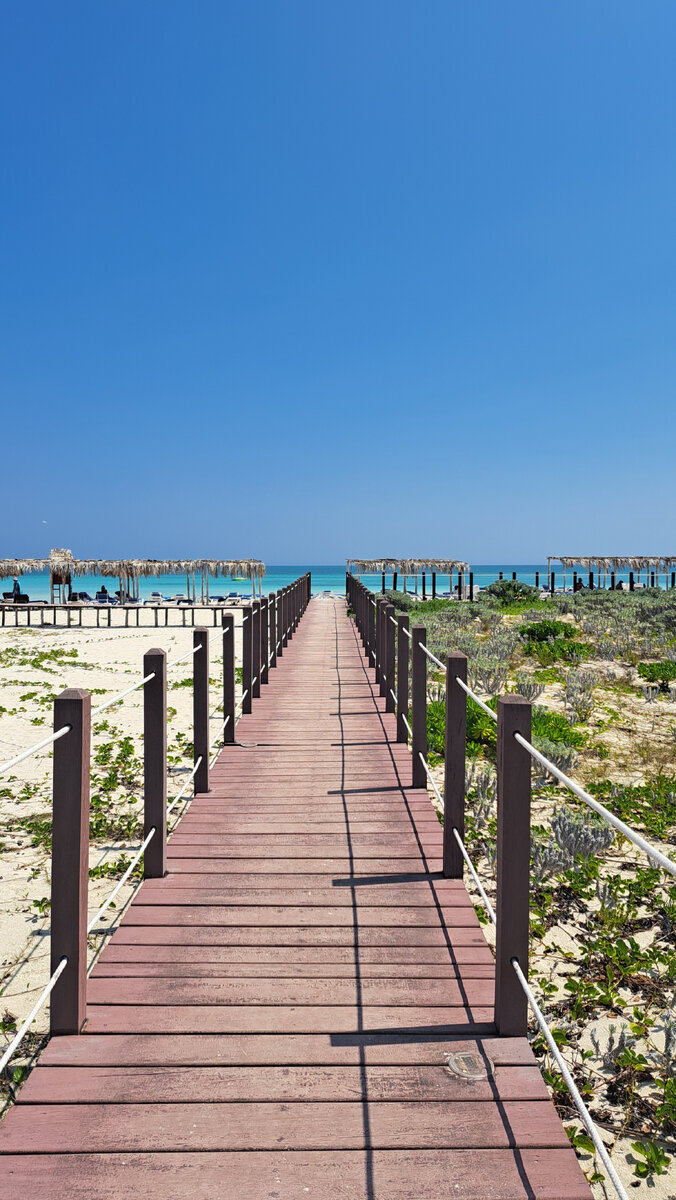 Все фото и видео мои 