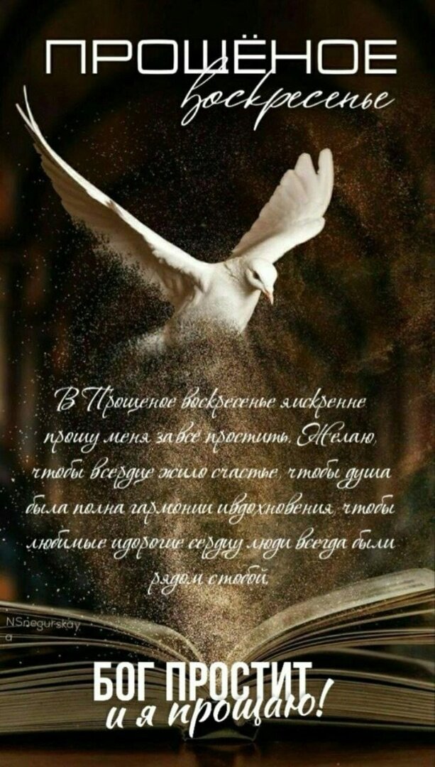 Изображение взято автором из личной Вацап-переписки