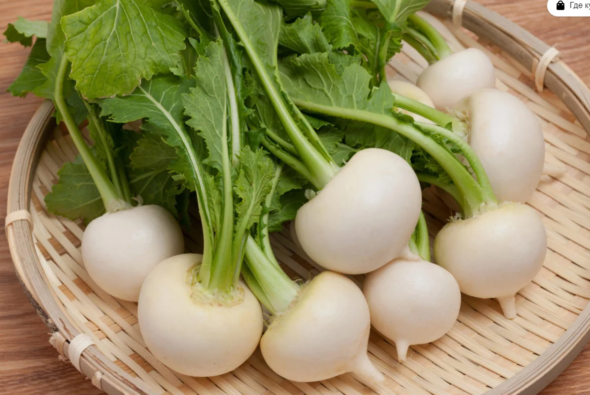 Молодая репа