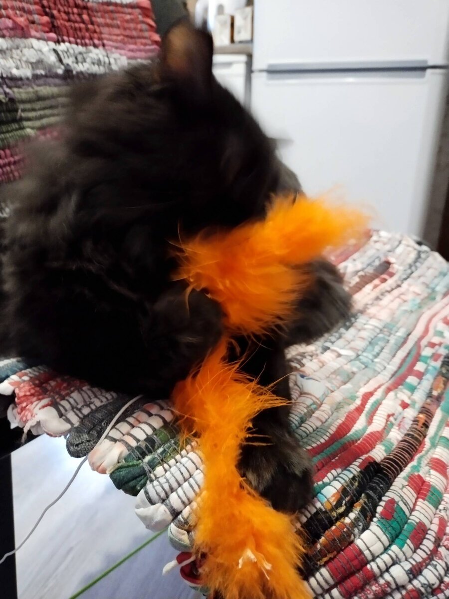 Перья это вещь!