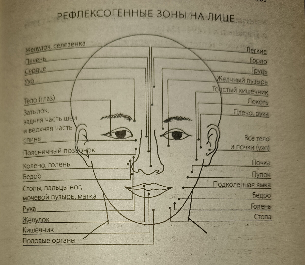 Описание энергетических точек связи с органами