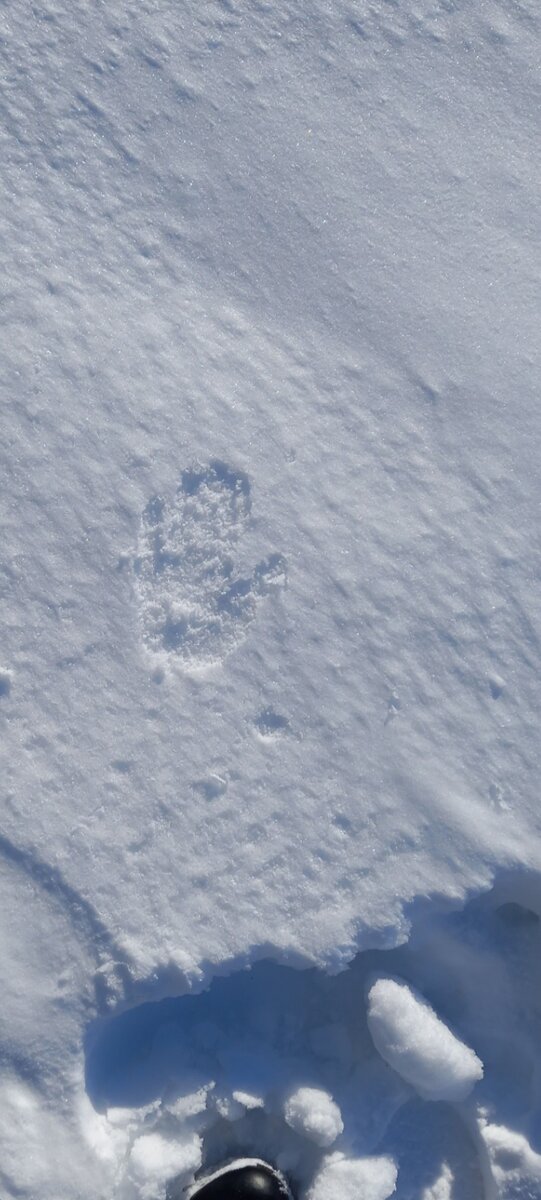 Оставила свой след 👣