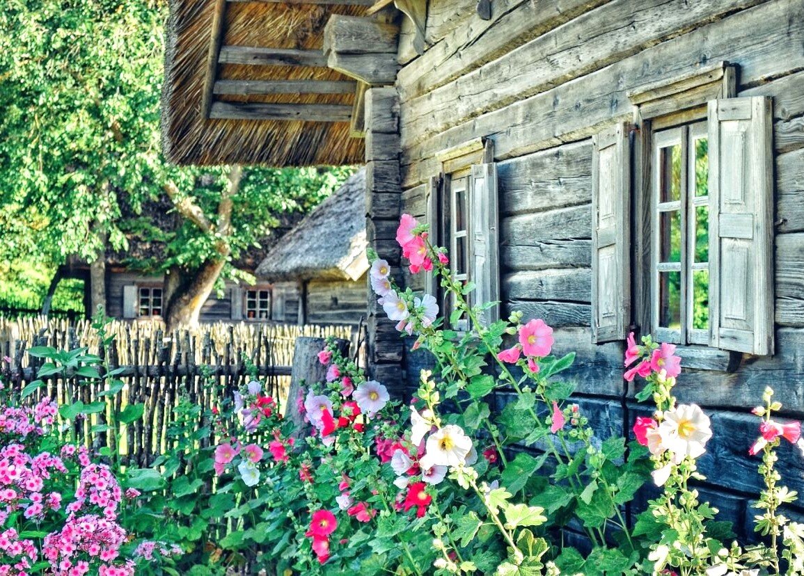 Из свободных источников