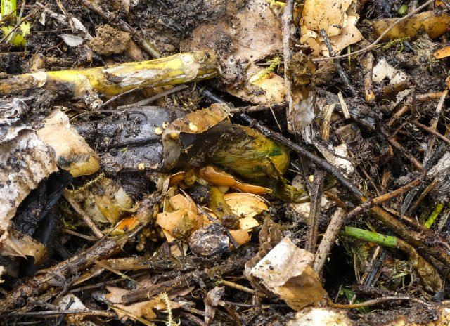 Фотография взята из источника yandex.ru