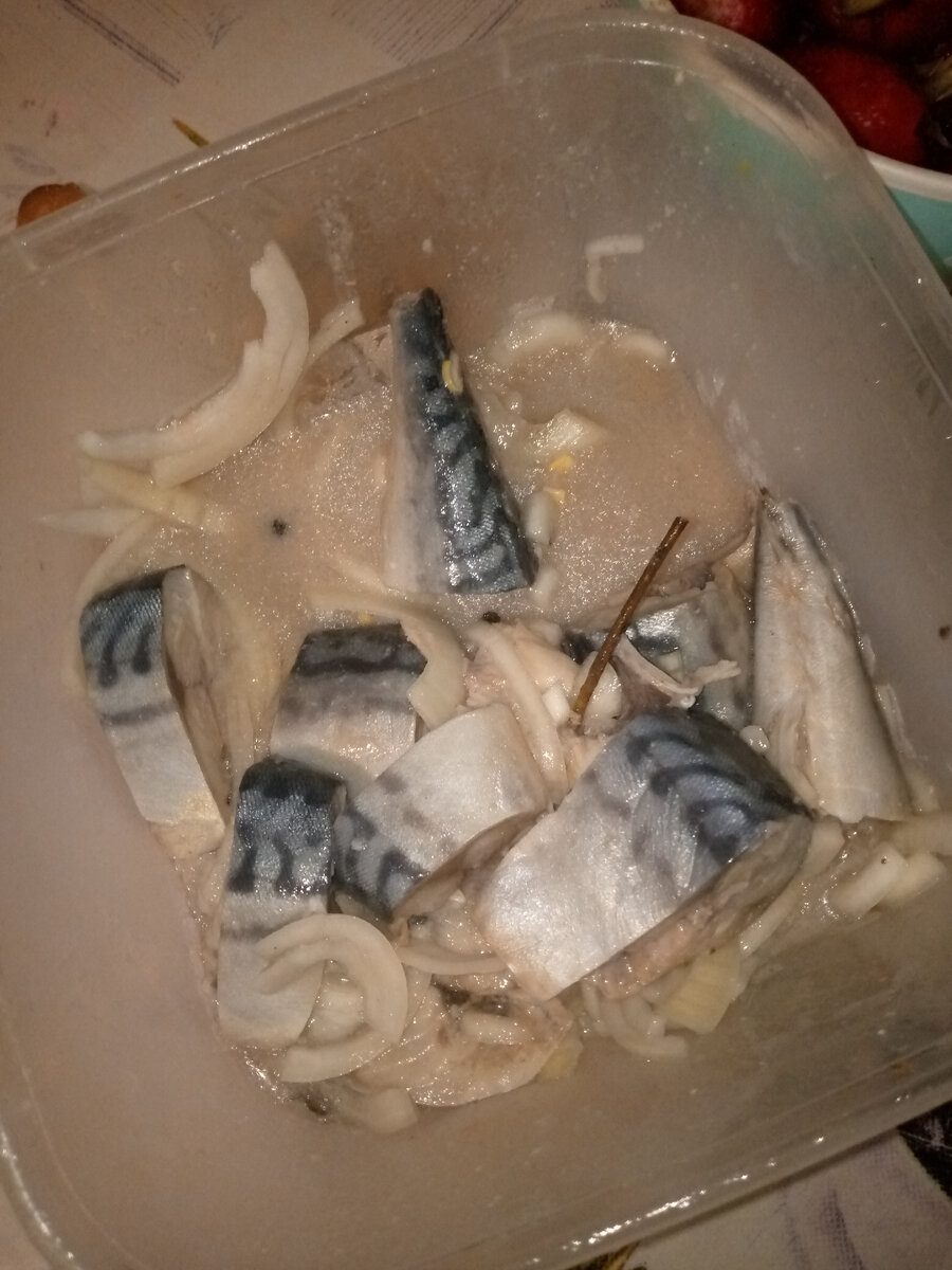 Остатки скумбрии