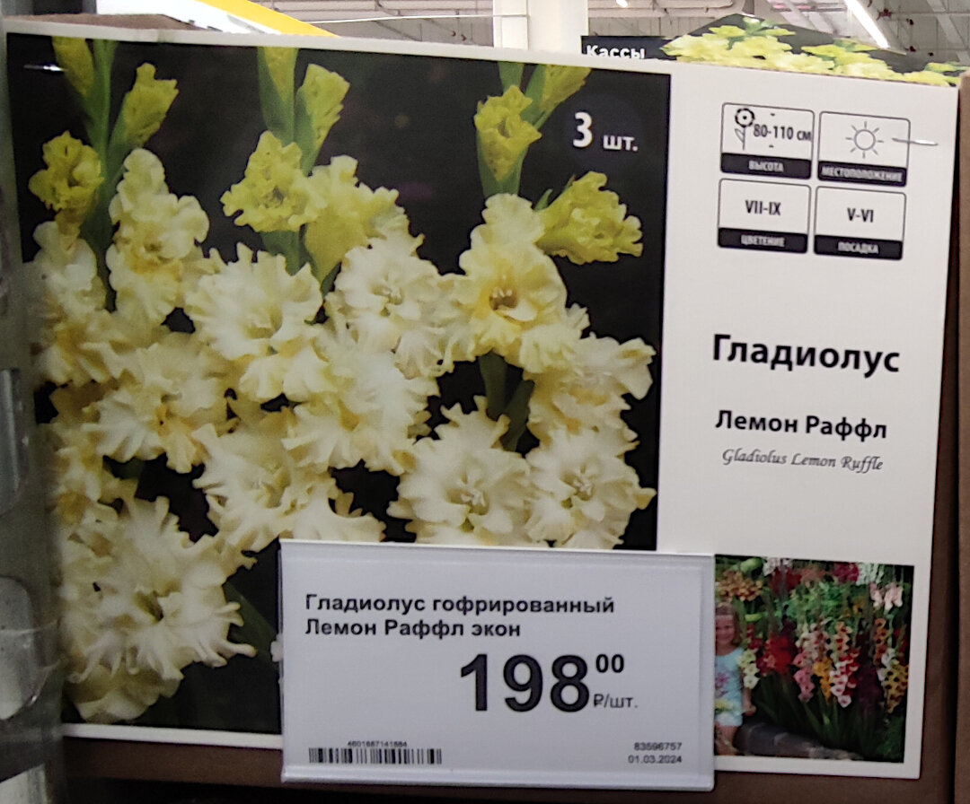 Фото автора) не реклама)фото 2 шт