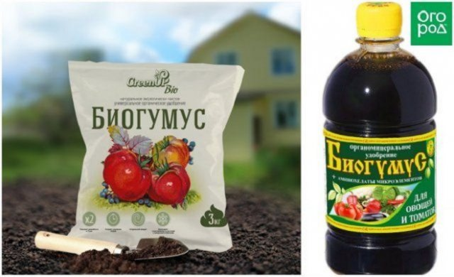 Фотография взята из источника yandex.ru