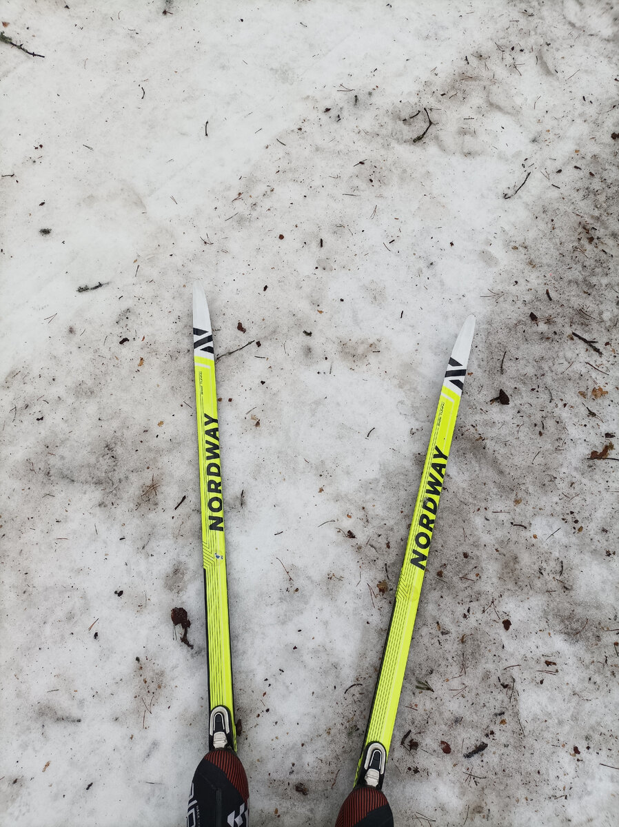 Катался сегодня на старых лыжах, которые не жалко испортить. Всё таки состояние трассы не лучшее.