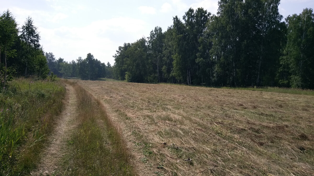 проселочные и полевые дороги