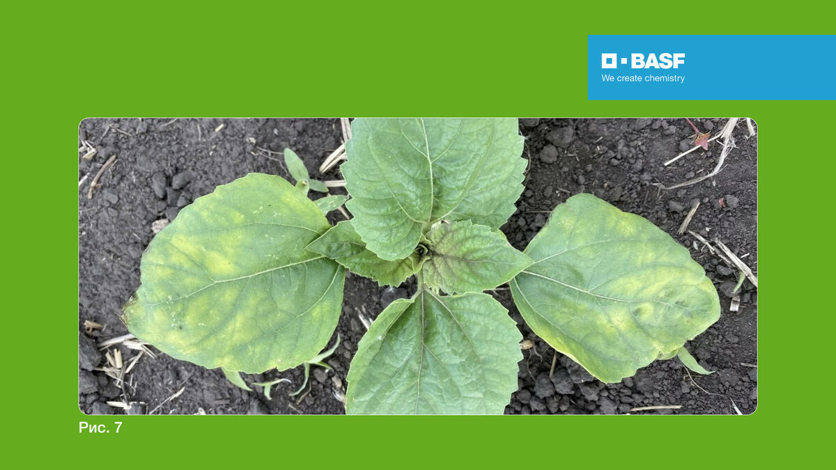 Значение биологии в медицине. Значение биологии в медицине кратко. Почему применение биологических. Охрана и рациональное использование ресурсов. Роль биологии в жизни и практической деятельности человека.