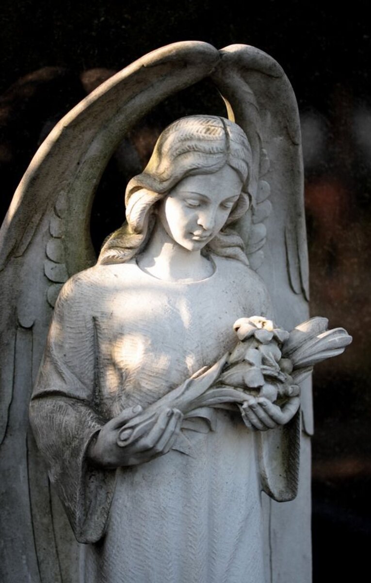 Из свободного доступа