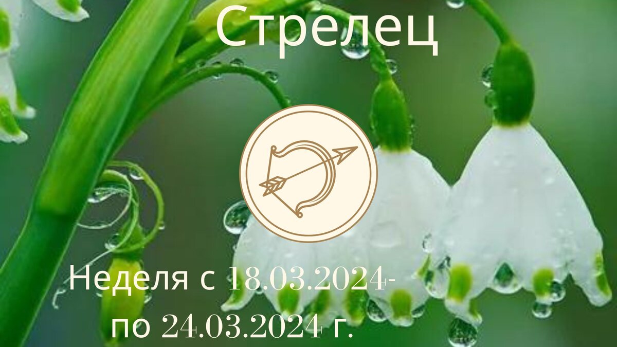 Стрелец. Гороскоп на неделю 18 марта - 24 марта 2024 года.