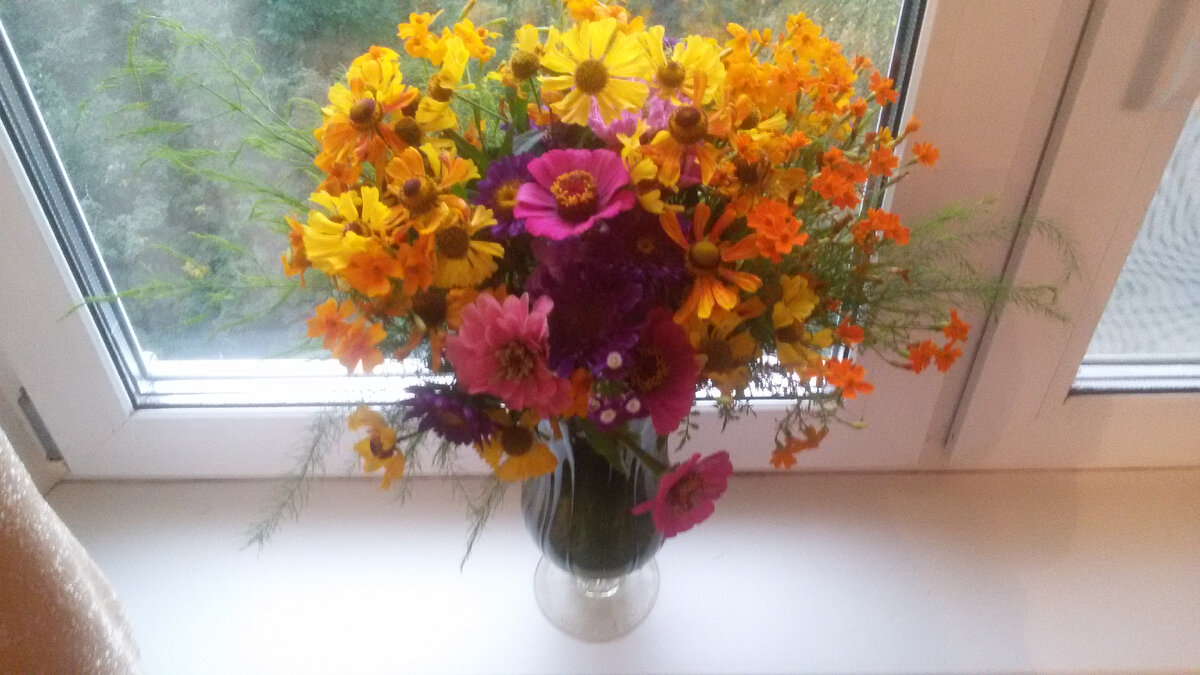 Фото из моего архива