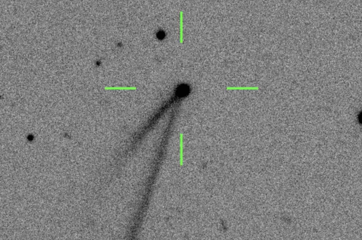 Источник: zooniverse.org / Caspastro  📷
