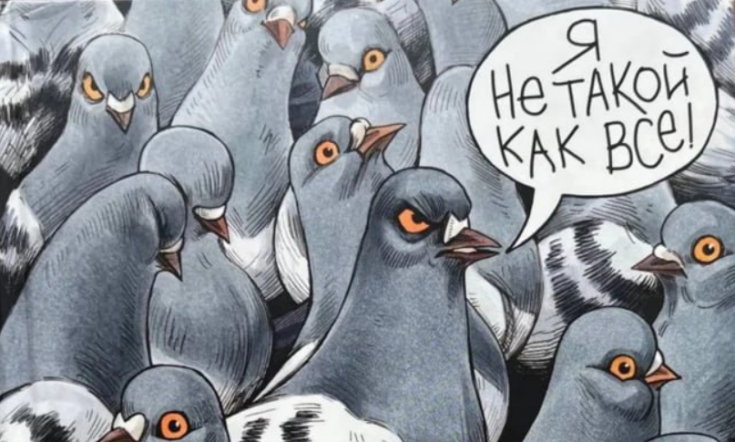 выбор Сандро