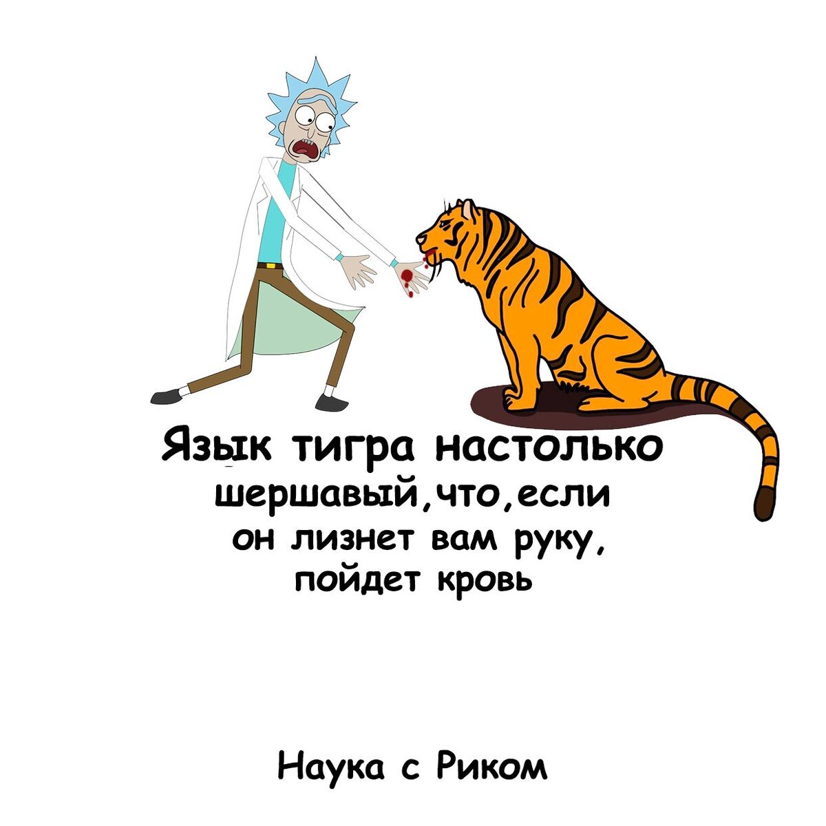Интересен тот факт что