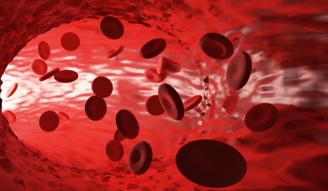 Изображение взято из пространства интернета