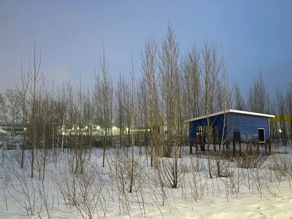    Участок на улице Сиреневая, 37. Источник: Виталий Барабаш