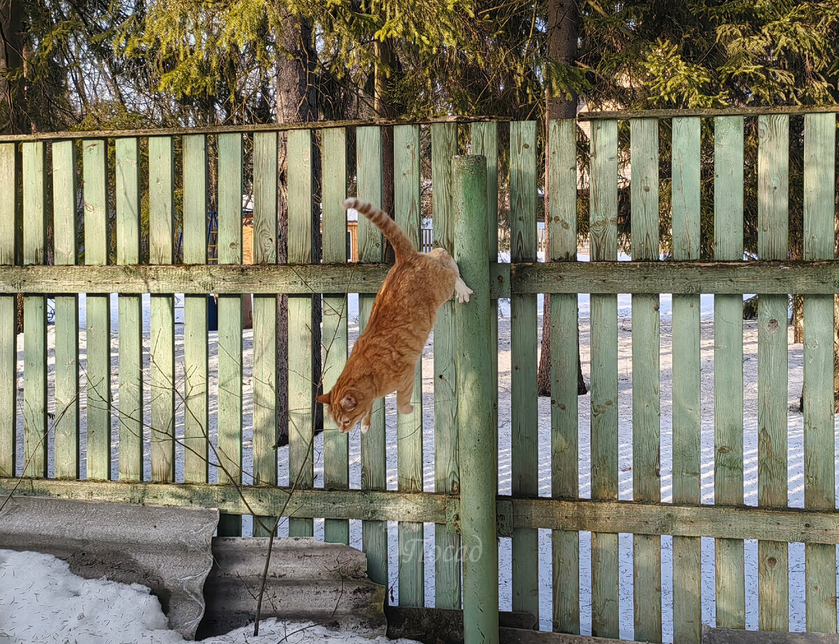 В свободном полёте!