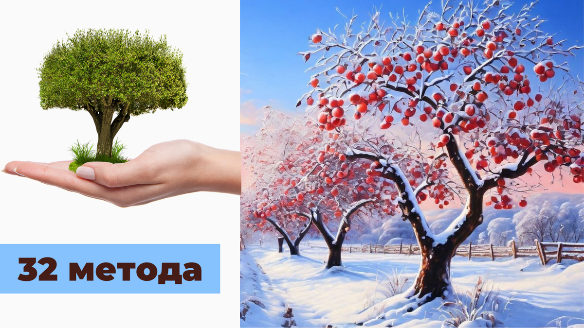 Защита плодовых деревьев