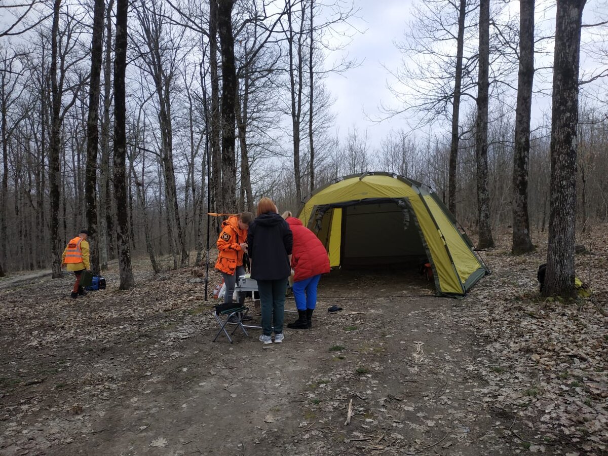 ЛизаАлерт в действии